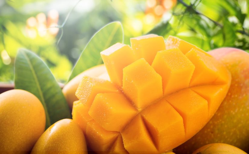 El cultivo de mango: todo lo que necesitas saber